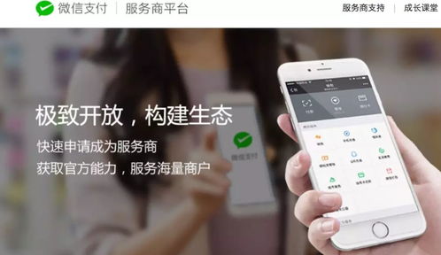 江蘇中理網(wǎng)絡(luò)科技 服務(wù)商定位、準(zhǔn)入路徑與網(wǎng)絡(luò)技術(shù)服務(wù)解析